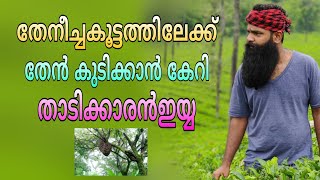 തേനീച്ച കൂട്ടത്തിൽ തടിക്കാരൻ ഇയ്യ പെട്ടു😂/thadikkaraniyy/adam manjeri /jinn