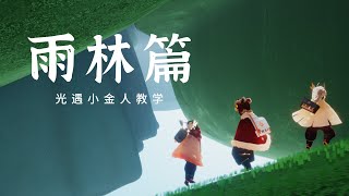 2023年光遇雨林小金人教学：雨林总共有19个光翼！手把手教你如何玩光遇！