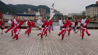 2019関門よさこい大会にて釜山奇兵隊、釜山外国語大学校さんの演舞です❗