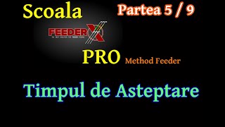 Școala FeederX Pro 5/9 - Timpul de asteptare