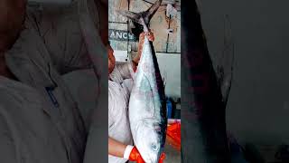 ഞായർ സ്പെഷൽ 30 kgതൂക്കം ഉള്ള മത്സ്യം - TFC പത്തംപാട് #youtubeshorts #seafood #fishing #fish #food