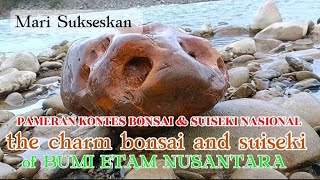 PESONA KEUNIKAN SENI SUISEKI BATU GAMBAR DAN MOTIF JEJARING SUNGAI ALAS LEUSER