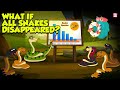 What If All Snakes Disappeared? | The Importance of Snakes in the Ecosystem | The Dr. Binocs Show
