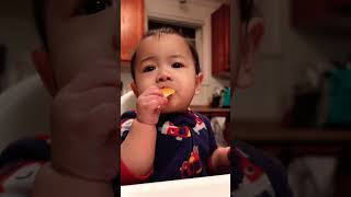 Baby Eating Orange For The First Time 🍊🥰#shorts #babylife