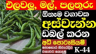 වගාවෙ මල් හැලෙනවද? ඵලදාව අඩුද 🤔? 👉💯 | අධි පොටැසියම් දියර පොහොර | K 44 | potassium liquid fertilizer