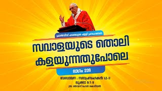 239- സവാളയുടെ തൊലി കളയുന്നതുപോലെ | പാപ്പയുടെ പള്ളിപ്രസംഗങ്ങൾ