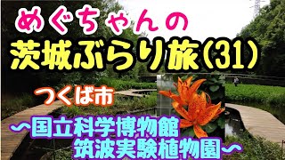 134【めぐちゃんの茨城ぶらり旅31】つくば市〜国立科学博物館 筑波実験植物園🌴〜