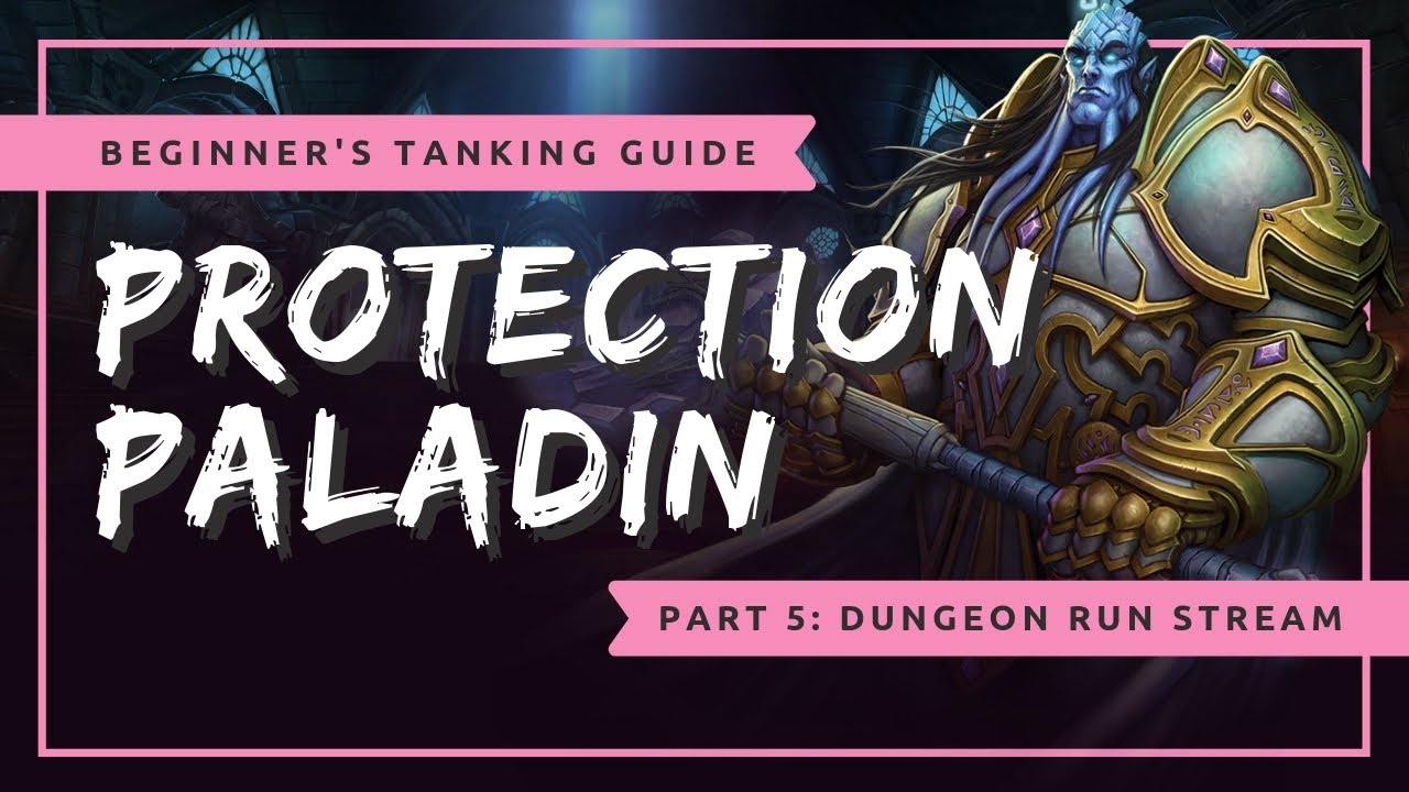 Beginner's Protection Paladin Tanking Guide - Part 5: Dungeon Run | WoW ...