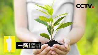 《一线》特别节目：立法监督 法治下的成长 保护每一位“少年的你” 20191029 | CCTV社会与法