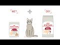 Royal Canin Mix Feeding for Cat