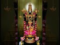 ఏడు కొండల వాడా వెంకటరమణ గోవింద గోవిందా 🌺🌺🌺🙏🙏🙏🙏🙏 tirumala lord bhaktisong shortvideo youtubeshorts