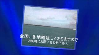 鹿児島から沖縄までフェリー車両輸送