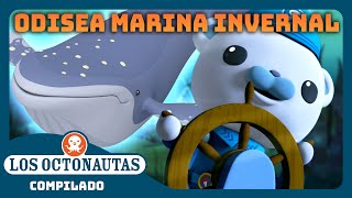 Los Octonautas - 🐻‍❄️ La fabulosa odisea marina invernal de Polar 🌀 | Episodios Completos