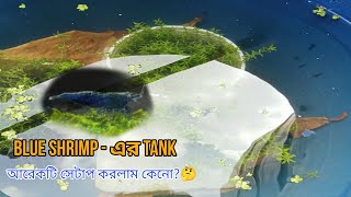 Dark blue shrimp - এর জন্য আরেকটি টেংক সেটাপ করলাম।