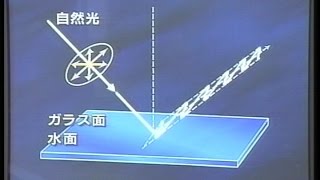 物理331G 物理22  2005偏光板を2枚重ねて振動方向の変化,光が横波であること,反射光が除去できること,空の光が偏光であること確認複眼の話も