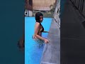 dharsha gupta latest bikini hot video bikini video dharsha gupta hot