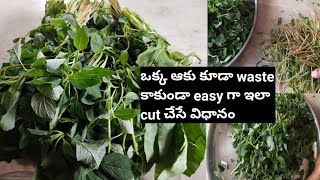 ఆకుకూరలు ఇలా cut చేస్తే మన పని easy అవుతుంది || give way change rules||