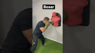 Boxer vs Brawler   #boxer #boxing #boxeo #brawler #tyson #mma #martialarts #demo