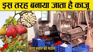 काजू कैसे बनता है ? | kaju kaise banta hai | How to make cashew nut