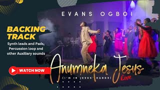 Anumneka Jesus By EVANS OGBOI (Backing track) STEM