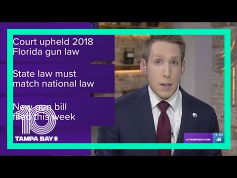 Court Upheld 2018 Florida Gun Law - YouTube