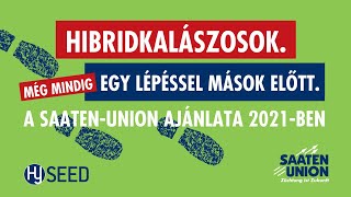 A SAATEN-UNION hibridkalászos-ajánlata 2021-ben