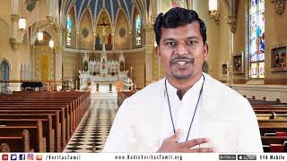 ஆண்டின் பொதுக்காலம் 27ஆம் வாரம் ஞாயிற்றுக் கிழமை | Fr. Johnson OMI