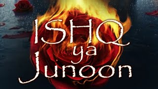 Ishq ya junoon episode 256 to 260