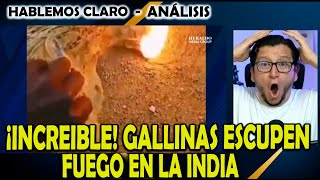 ¡INCREIBLE! GALLINAS ESCUPEN FUEGO EN LA INDIA