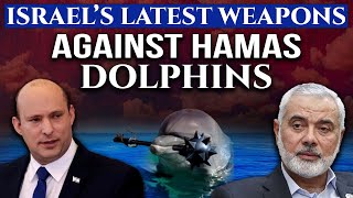 Israel is using Dolphins to take care of Hamas