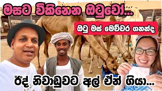 පන පිටින් සත්තු ගන්නවනම් මෙන්න තැන 🐐🐪🐄|Eid Holidays| Al Ain| dubai sinhala vlog