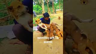 আলামিন ভাই কি করলো #foryou #viralvideo