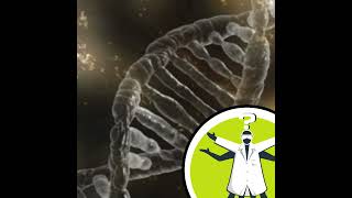 Can you get DNA from crematorium ashes?