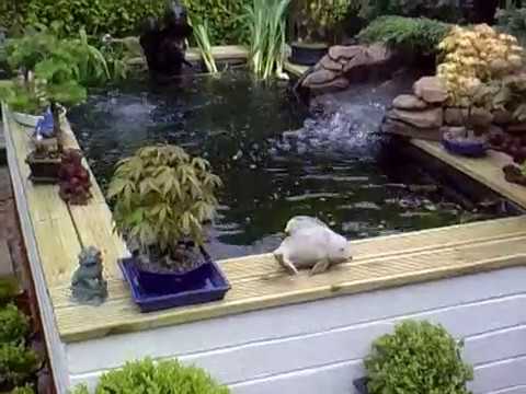 HOW TO BUILD A KOI POND out of concrete blocks.avi HOW TO BUILD A KOI POND out of concrete blocks.avi