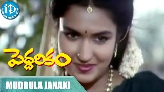 Peddarikam Movie - Muddula Janaki Pelliki Video Song || Jagapathi Babu || Sukanya || Raj-Koti