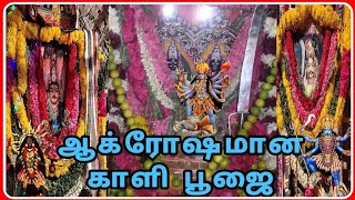 ஆக்ரோஷமான காளி பூஜை 🙏🔥 #kaliamman #kalipoojai #mutharaman #kulasai @kulasami11