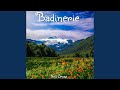 Badinerie