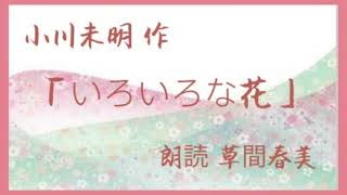 小川未明 作「いろいろな花」〈朗読 草間春美〉