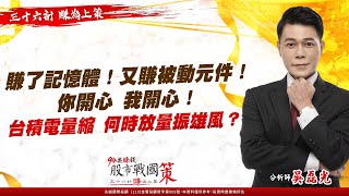 【94要賺錢-股市戰國策】賺了記憶體！又賺被動元件！你開心，我開心！台積電量縮，何時放量振雄風？｜20230412｜分析師 吳磊光｜三立新聞網 SETN.com