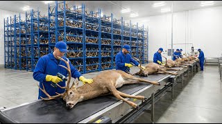 Inside the Billion-Dollar Deer Empire: A Mega Farm Tour