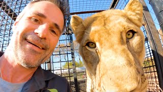 The Joys Of Moving Day! | The Lion Whisperer