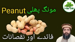 Health Benefits of Peanuts | Mungfali ke fayde | مونگ پھلی کے فائدے | Hakeem Zia ur Rehman