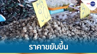 สำรวจตลาดอาหารทะเล พบราคาขยับขึ้น