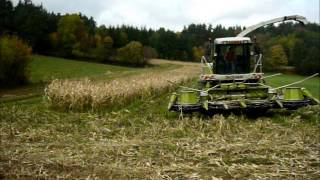 ensilage maïs 2013