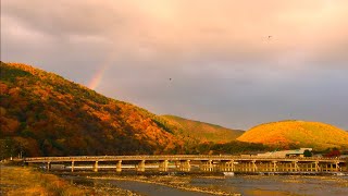 2019年12月8日(日)京都嵐山朝の風景 虹と渡月橋🍁Autumn in Arashiyama ,Kyoto✨ 岚山【4K】