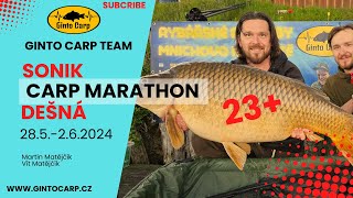 Sonik Carp Marathon Dešná 2024/Rybářské závody/Ginto Carp/Kapr 23+/Carp Fishing/Pořádná kaprařina