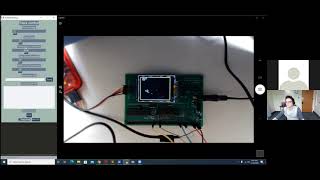 Boids on PIC32, Dynamic Interaction via Python