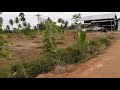 Salem  Konganapuram 3.5 Acres Agri Land for sale