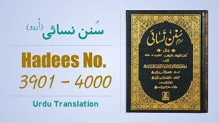 Sunan Nisai (Nasai) Hadees No 3901 to 4000 Urdu Translation | Sunnat Pak