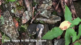 Simplicity by Emily Dickinson